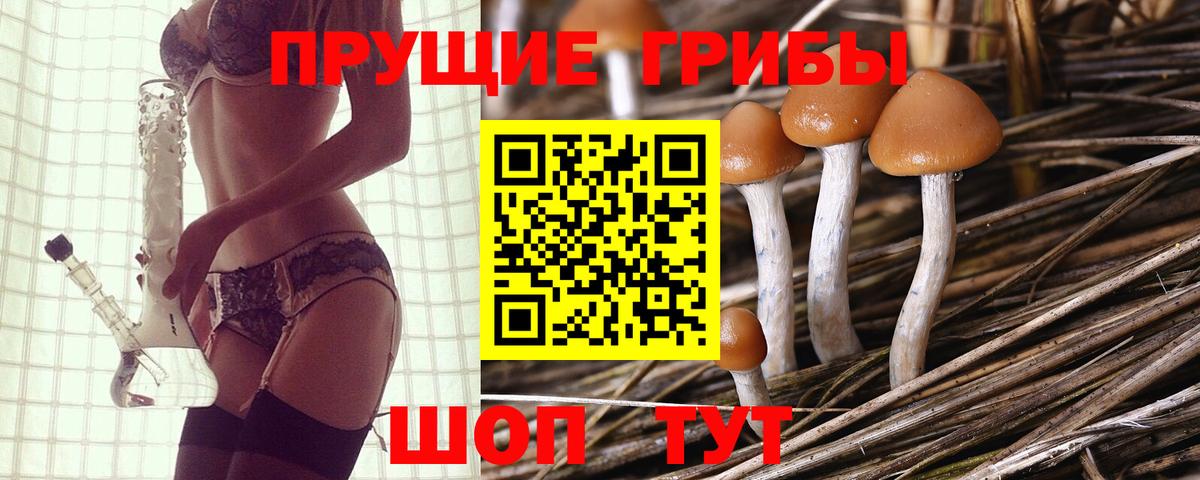 Псилоцибиновые грибы мицелий Карталы