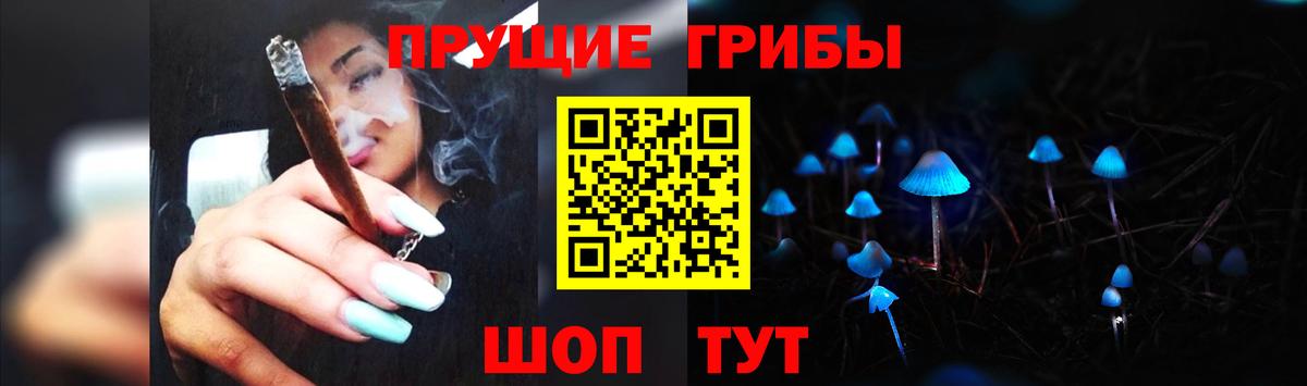 дарнет шоп  Псилоцибиновые грибы мицелий  Вход с VPN  Галлюциногенные грибы Psilocybine cubensis  Карталы 